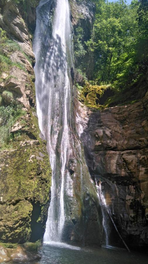 Le Chalet Du Blanc Spa Yoga Aillon-le-Jeune Eksteriør bilde