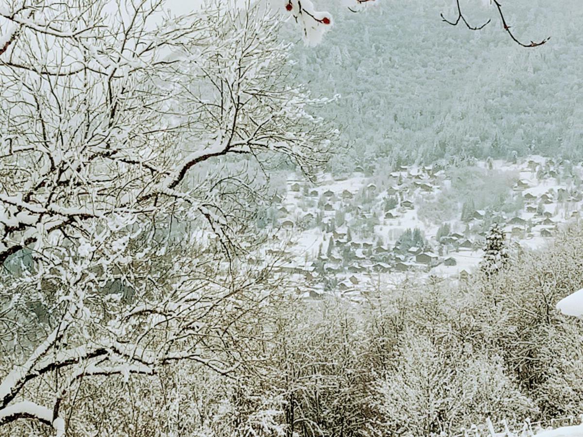 Le Chalet Du Blanc Spa Yoga Aillon-le-Jeune Eksteriør bilde