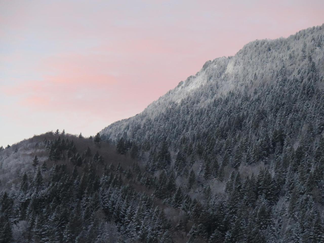 Le Chalet Du Blanc Spa Yoga Aillon-le-Jeune Eksteriør bilde